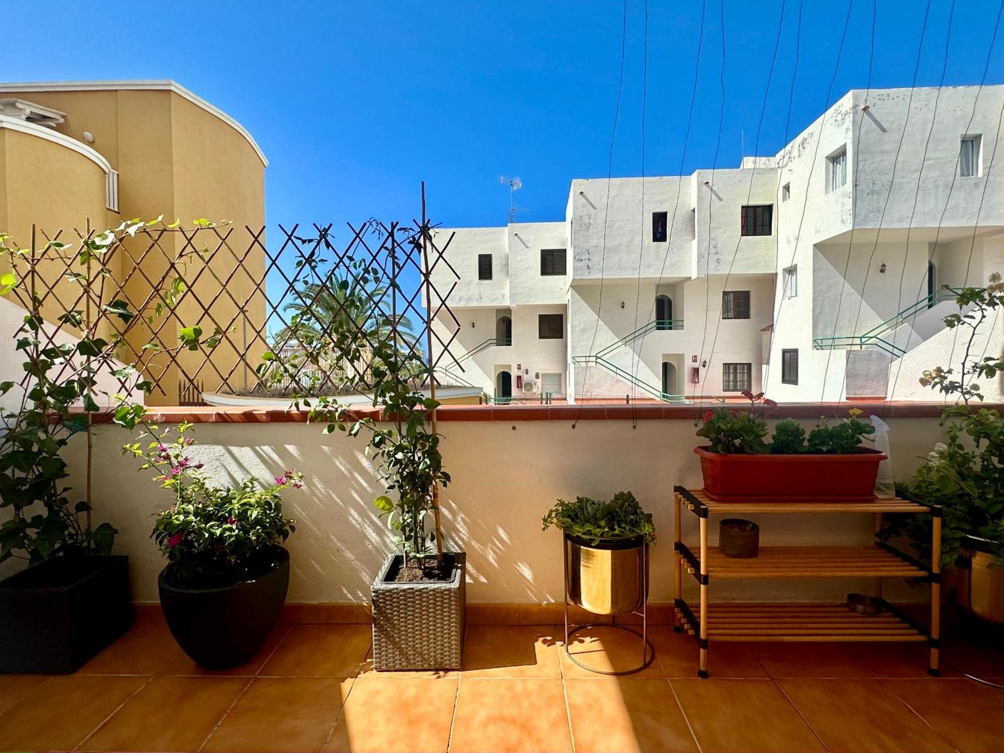 Apartment In Ocean Park Ii, Costa Adeje, Tenerife Dış mekan fotoğraf
