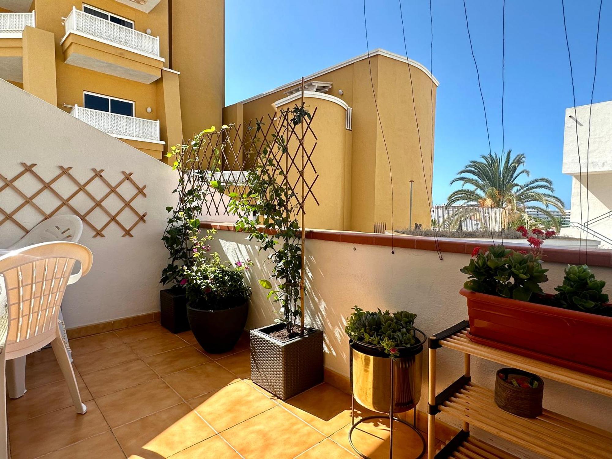 Apartment In Ocean Park Ii, Costa Adeje, Tenerife Dış mekan fotoğraf