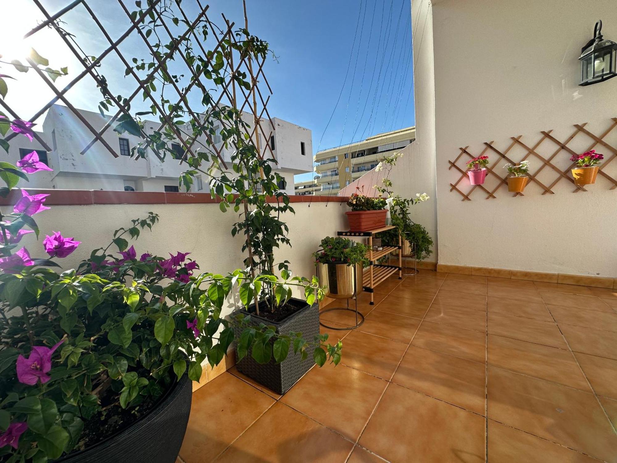 Apartment In Ocean Park Ii, Costa Adeje, Tenerife Dış mekan fotoğraf